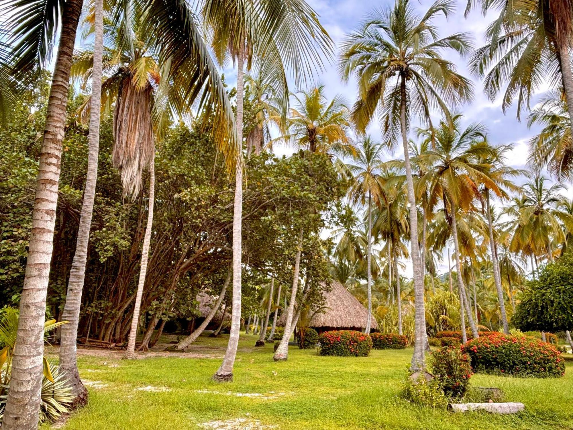 Hotel Playa Bonita Tayrona Buritaca Dış mekan fotoğraf