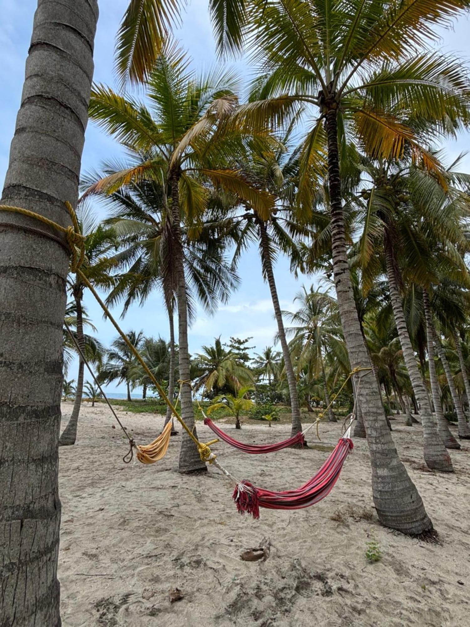 Hotel Playa Bonita Tayrona Buritaca Dış mekan fotoğraf