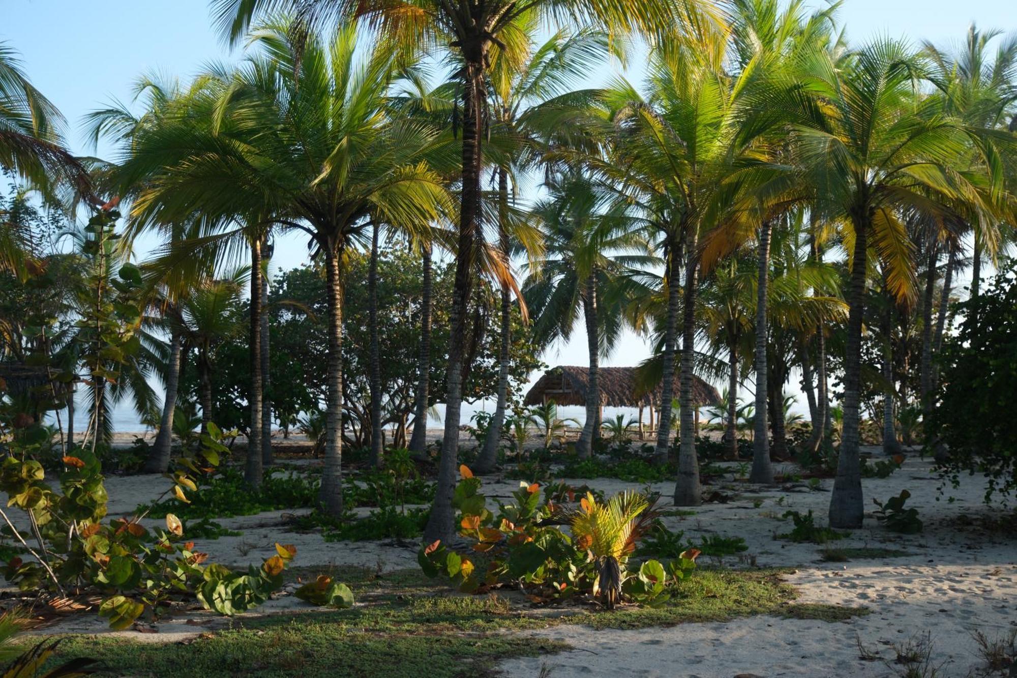 Hotel Playa Bonita Tayrona Buritaca Dış mekan fotoğraf