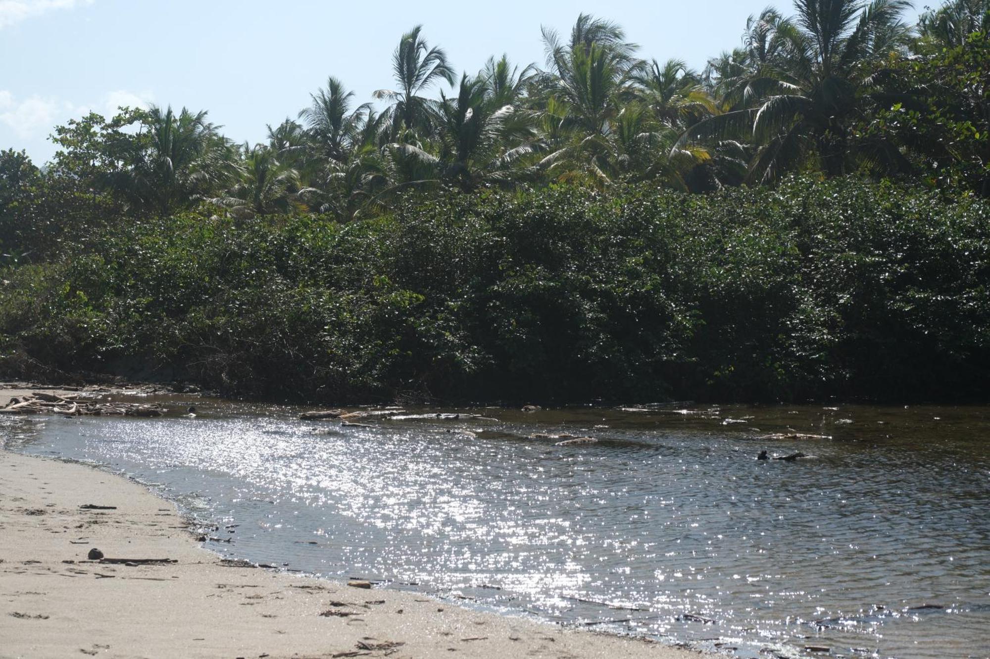 Hotel Playa Bonita Tayrona Buritaca Dış mekan fotoğraf