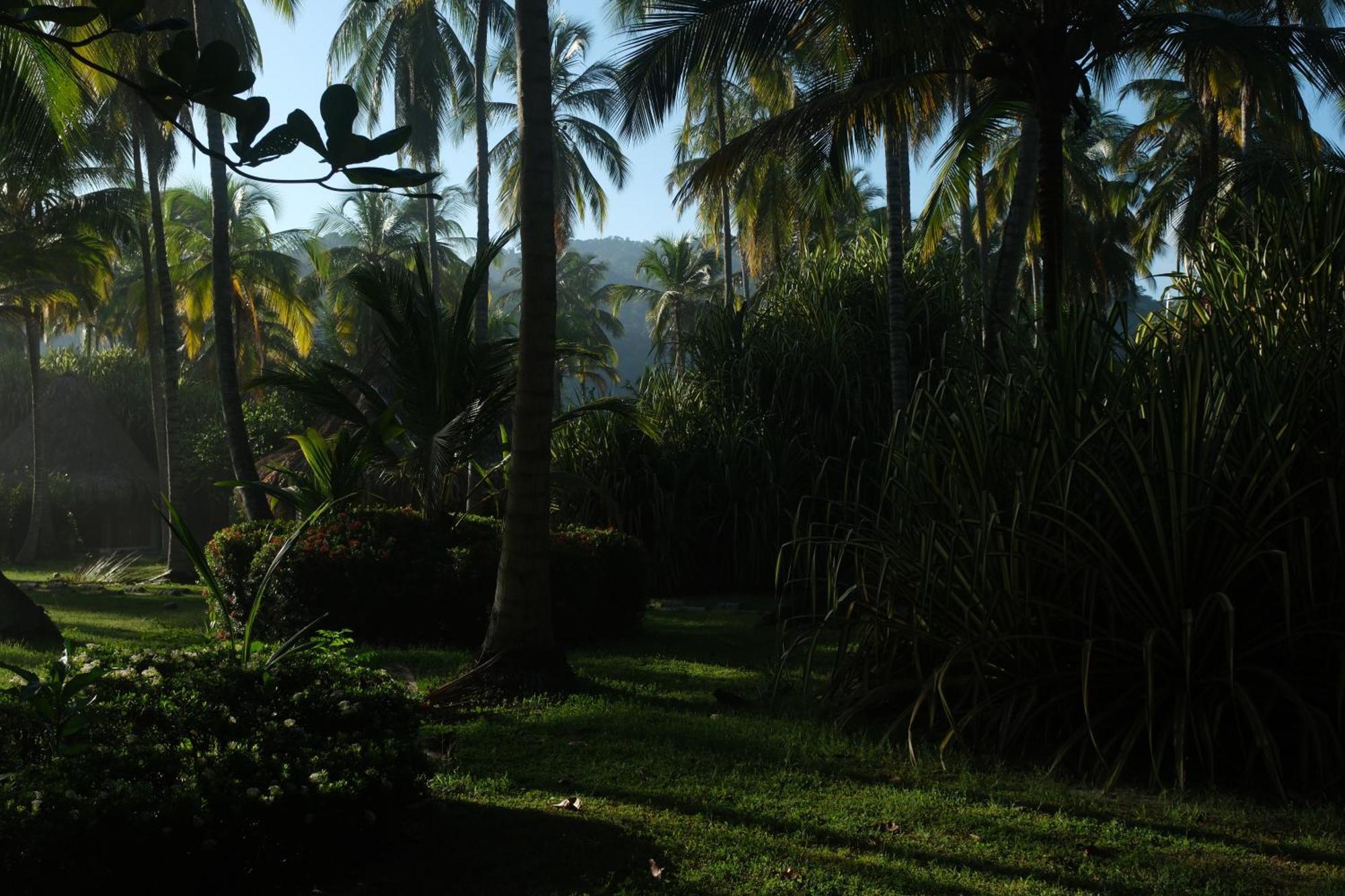 Hotel Playa Bonita Tayrona Buritaca Dış mekan fotoğraf